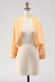 Black Long Sleeves Simple Women Jacket