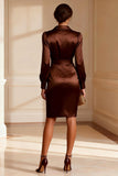 Brown Bodycon Satin V-Neck Short Mother of the Bride Dress with Sleeves