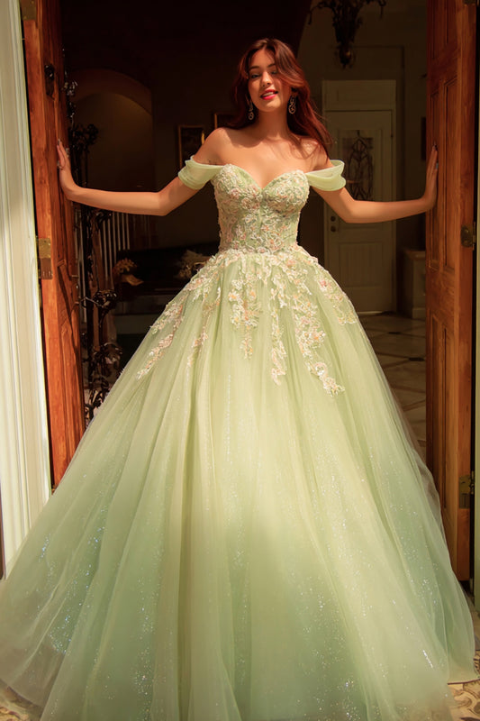 Sparkly Dusty Sage Tulle Ball Gown Long Quinceanera Dress with Lace