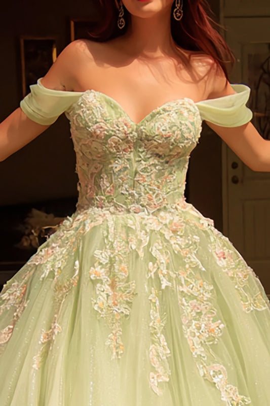 Sparkly Dusty Sage Tulle Ball Gown Long Quinceanera Dress with Lace