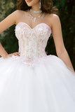 Floral Ivory Tulle Sweetheart Ball Gown Long Quinceanera Dress