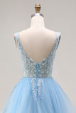 Sky Blue Floral Tulle A Line V-Neck Long Corset Prom Dress with Ruffles