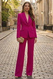 2 Piece Fuchsia Long Sleeves Single Breasted Solid Business Suits