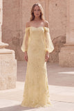 Mermaid Off the Shoulder Yellow Appliqued Long Prom Dress