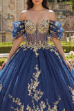 Appliqued Navy Glitter Princess Floral Long Corset Quinceanera Dress