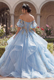Glitter Sky Blue Princess Floral Long Corset Quinceanera Dress with Ruffles