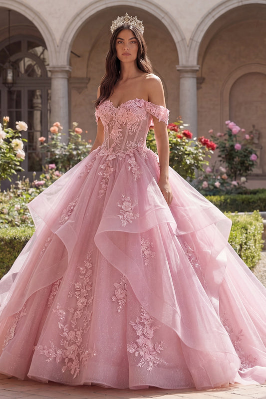 Pink Princess Floral Long Corset Glitter Quinceanera Dress with Ruffles