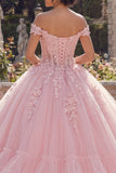 Pink Glitter Princess Floral Long Corset Quinceanera Dress with Ruffles