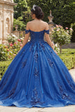 Sparkly Royal Blue Beaded Princess Glitter Long Floral Corset Quinceanera Dress