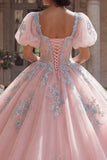 Pink Floral Puff Sleeves Long Corset Glitter Princess Quinceanera Dress with Lace