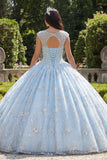 Sparkly Sky Blue Beaded Princess Floral Long Boat Neck Quinceanera Dress