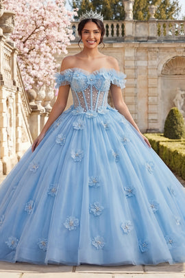 Sky Blue Floral Long Corset Princess Ruffled Quinceanera Dress with Pearls