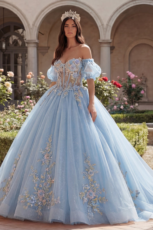 Long Puff Sleeves Sky Blue Floral Corset Glitter Princess Quinceanera Dress