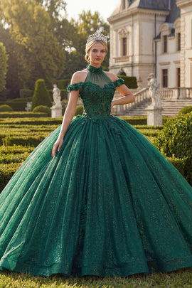 Dark Green High Neck Princess Glitter Long Floral Quinceanera Dress