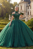 Dark Green High Neck Princess Glitter Long Floral Quinceanera Dress