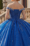 Sparkly Royal Blue Beaded Princess Long Quinceanera Dress with Fringes