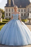 Floral Long Corset Light Blue Princess Quinceanera Dress with Pearls