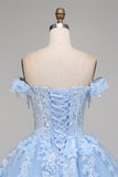 Floral Long Corset Light Blue Princess Quinceanera Dress with Pearls