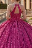 Sparkly Fuchsia Sequin Long Princess Quinceanera Dress with Beading