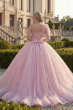 Ruffled Pink Princess Glitter Long Quinceanera Dress with Lace