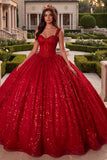 Sparkly Red Corset Princess Long Thick Straps Sequin Quinceanera Dress