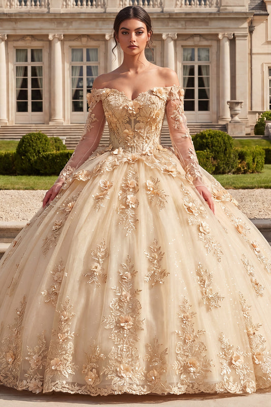 open lace back dress Zapakasa Women Champagne Floral Corset Long Quinceanera Dress Princess Long  Sleeves Off the Shoulder Lace Up Back Glitter Ball Gown Sweet 16 Dress
