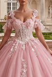 Sparkly Pink Princess Long Floral Corset Cold Shoulder Quinceanera Dress