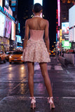 Sparkly Pink Velvet Short Halter Floral Corset A Line Homecoming Dress