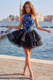 Blue and Black