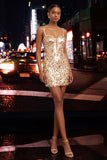 Sparkly Champagne Sequin Corset Tight Short Homecoming Dress