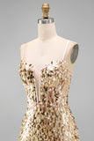 Sparkly Champagne Sequin Corset Tight Short Homecoming Dress