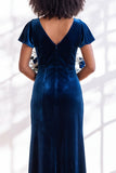 Golden Brown Sheath V-Neck Long Velvet Wedding Guest Dress with Sleeves