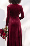 Terracotta Velvet Ruched Long Wedding Guest Dress with Sleeves