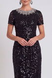 Black Sparkly Sequin Bodycon Midi Mother of the Bride Dress with Sleeves