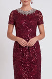 Black Sparkly Sequin Bodycon Midi Mother of the Bride Dress with Sleeves