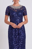 Black Sparkly Sequin Bodycon Midi Mother of the Bride Dress with Sleeves
