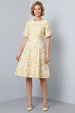 Light Yellow