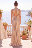 Champagne Metallic Sheath Halter Ruched Long Formal Dress