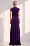 Dark Blue Velvet Sheath V-Neck Ruched Long Holiday Dress