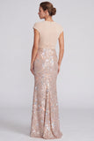 Champagne Sequin Sparkly Mermaid V-Neck Long Formal Dress