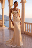 Floral Champagne Mermaid Ruched Corset Long Velvet Holiday Dress