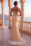 Floral Champagne Mermaid Ruched Corset Long Velvet Holiday Dress