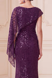 Sparkly Dark Purple Mermaid Sequin Long Mother of the Bride Dress with Side Cape