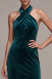 Halter Sheath Peacock Velvet Backless Long Holiday Party Dress