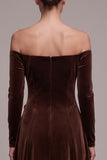 Coffee Velvet A-Line Long Sleeves Holiday Party Dress with 3D Flowers