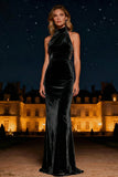 Purple Mermaid Halter Neck Long Velvet Holiday Party Dress
