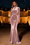 Purple Velvet Mermaid High Neck Long Sleeves Holiday Party Dress