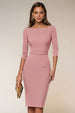 Dusty Rose
