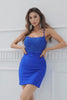 Sheath Spaghetti Straps Royal Blue Short Homecoming Dress with Appliques