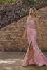 Sparkly Pink Plus Size Corset Mermaid Long Prom Dress with Slit